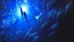 買股票，「什麼時候買」和「買什麼」哪個比較能讓你賺到錢？