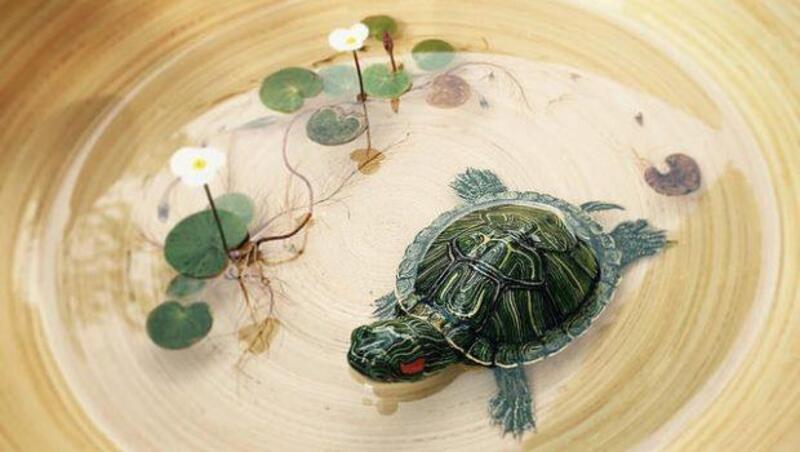 有人跟我一樣看不出烏龜是假的嗎？新加坡藝術家的「3D畫作」，已經超越藝術了