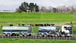 連漲十年，為何近一年暴跌四成》奶粉價大崩盤，竟是因中國要救自己的「奶業」？