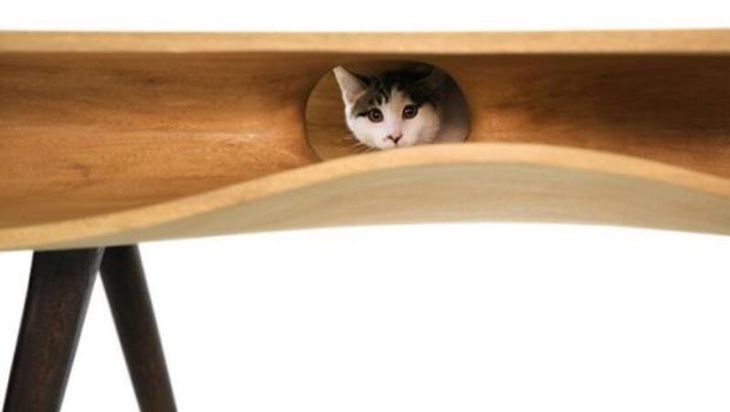 貓奴看了都會想買！拯救你家沙發，木製貓桌讓喵星人鑽不停