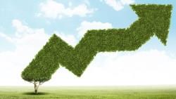 買股票，選「高殖利率股」還是「股利成長股」，哪個賺得多？