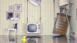 大雨一來我才發現：租屋處竟然會漏水！可以要求解約退租嗎？