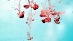 驗屋要帶紅藥水？超完整「驗屋工具清單」，快印下來貼桌前