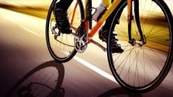 賣一樣的東西、卻從不惡性搶單！「自行車雙雄」巨大、美利達營收連6年成長的祕密