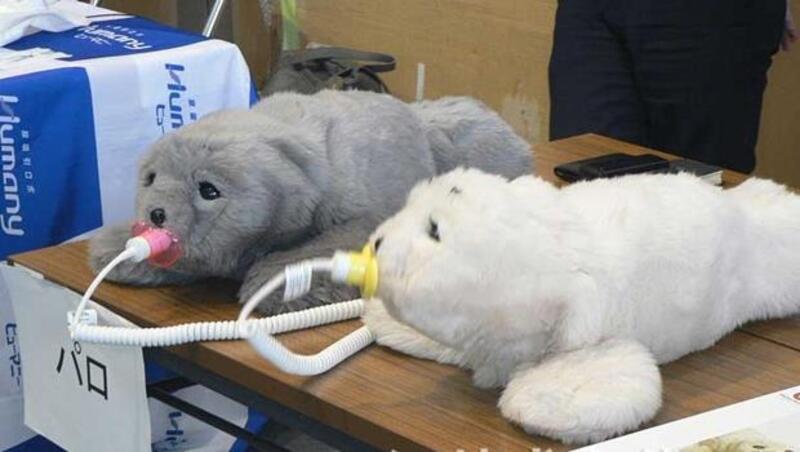 高齡化商機》日本超萌海豹機器人，竟能喚起失智症患者的記憶