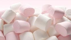 存錢是一場個人意志力的戰鬥...「棉花糖大師」教你用這一招無痛存錢！