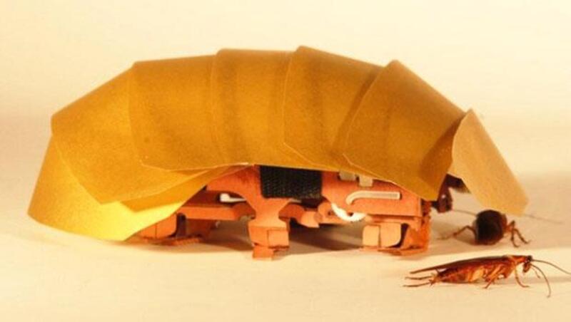果然是打不死的蟑螂！美國最新研發「機器蟑螂」能承受體重900倍重量，還能「救災」