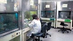 穩健股1號》葡萄王：搭上中國保健熱，EPS年增一成