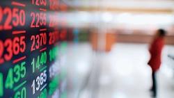 跟著年報搶先挑 14檔高息股出列