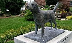 毛小孩身後事》新北市火化免費  台北市動物之家只要200元