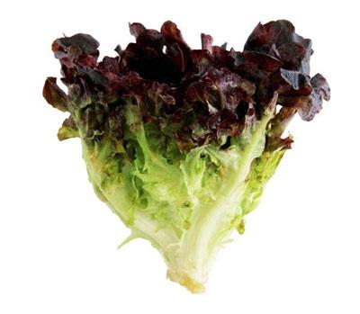 原來a菜 大陸妹都是 萵苣 生吃 炒食 配燒烤 一次搞懂9種萵苣吃法 台灣好食材 良醫健康網