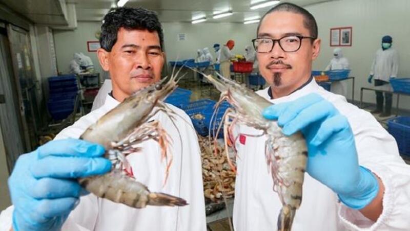 一群台灣青年，在赤道小島打造38億生態蝦王國