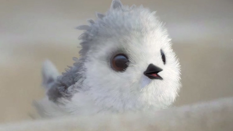 跨過眼前的害怕》點閱率2百多萬！皮克斯動畫短片《Piper》，用小萌鳥講勵志故事