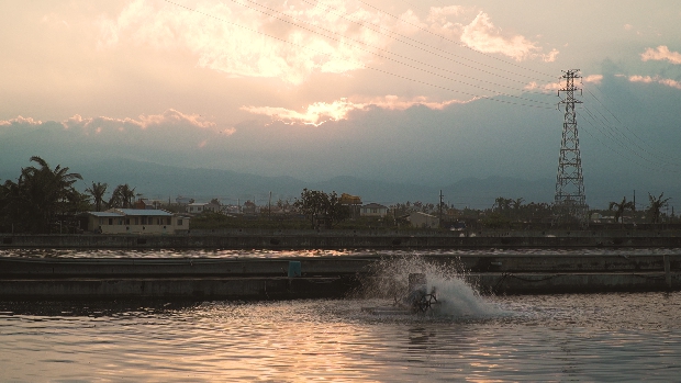 不甘看天吃飯屏東返鄉漁二代突圍