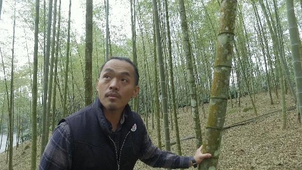 返鄉遊子的逆襲：一支竹牙刷，讓蒙塵家業逆轉勝