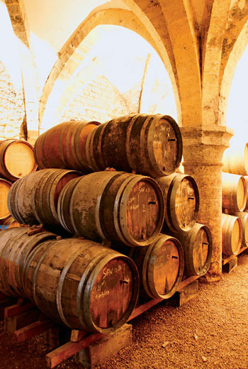 取酒試飲時，為了不破壞酒液表面珍貴的Voile酵母菌，培養黃葡萄酒的橡木桶都會在側邊裝設特別的出酒孔。