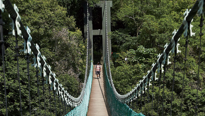 山風一號吊橋橫跨拉庫拉庫溪支流深谷，台灣黑熊在此山谷出沒。