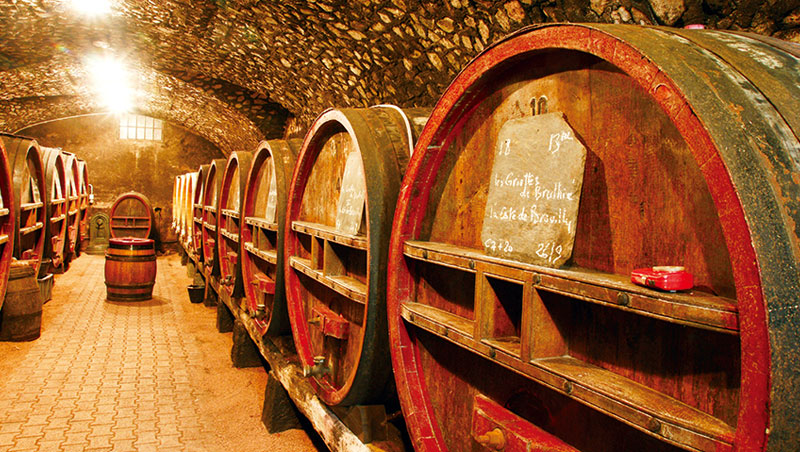 傳統的薄酒萊紅酒大多在大型的橡木酒槽中進行培養，很少採用小型的橡木桶，能保留更純粹的果香。