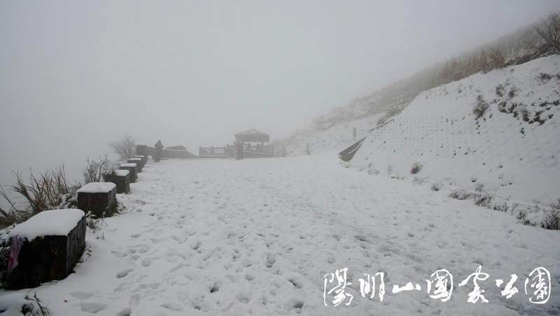 寒流發威》氣溫急凍不要只會說cold...這3個多益常考單字不只天氣，也能形容「股價」