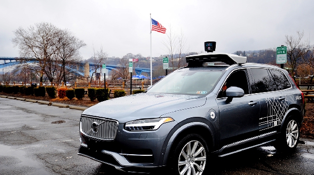 狗開車時代來了！自駕車生活提前報到