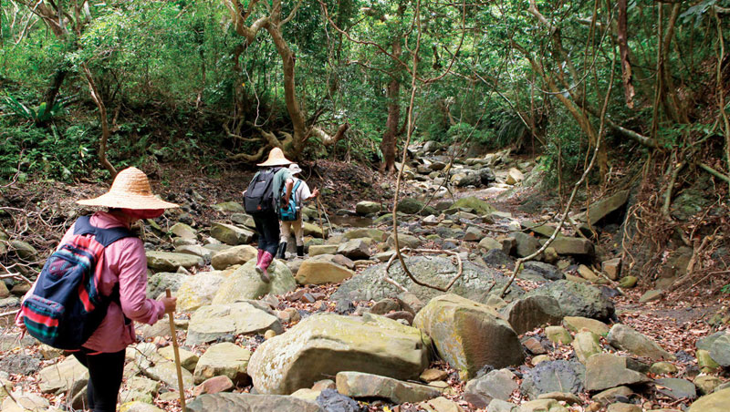 追隨獵人溯行欖仁溪，探索熱帶海岸林與半島溪流特有生態。