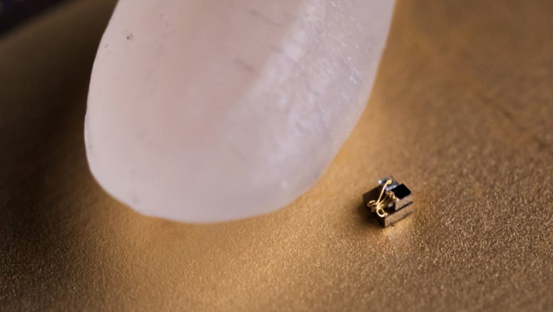 比米粒小的溫度感應器...密西根大學打造超小電腦，可能植入人體監測癌細胞、診斷青光眼