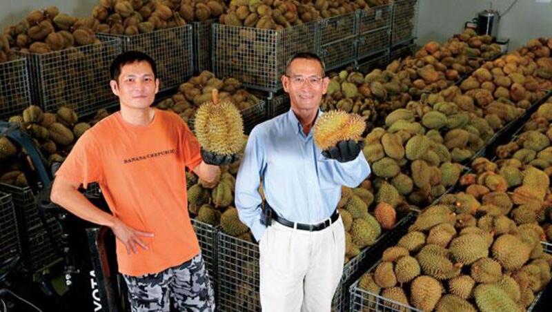 媲美製藥業的保鮮技術！台灣水果大王突破季節限制，把冷凍鮮榴槤做到亞洲唯一