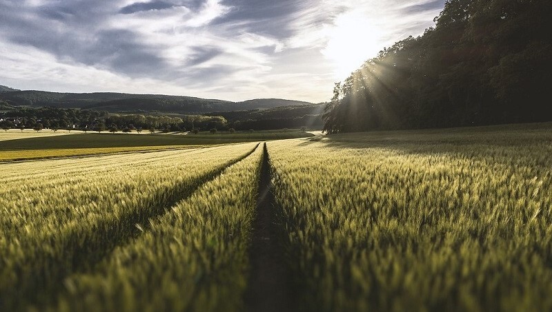 蓄意隱匿？環團施壓歐盟促公開一年前的農業減碳報告