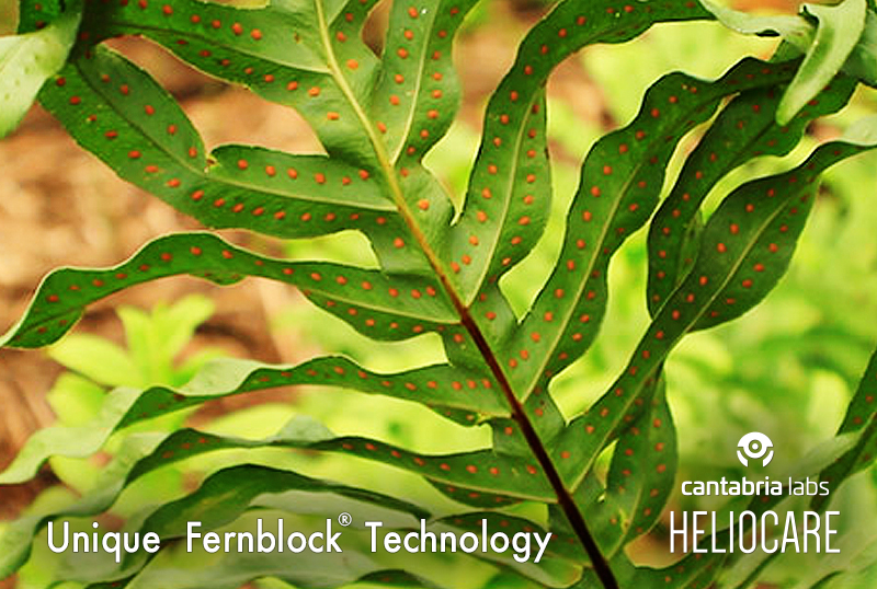 只聽過物理、化學性防曬?哈佛醫學研究「植物性Fernblock」光防護成分 成為全球六成以上的銷售冠軍