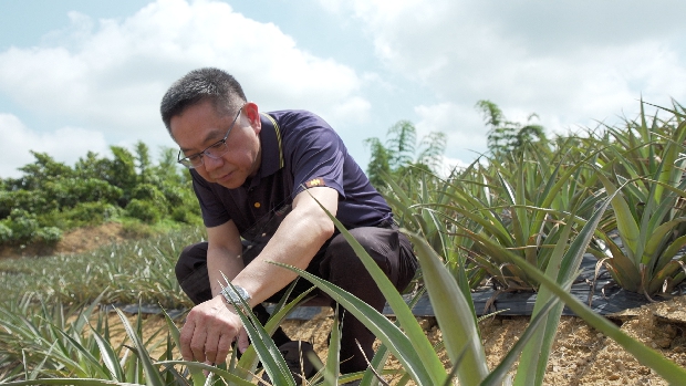 小鎮台霸Ep2.關廟鳳梨養出的車用扣件王