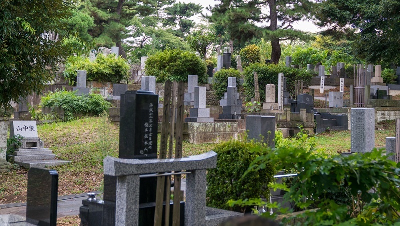 愛模型的宅男，相揪死後當墓友！老不等於孤獨，日本興起「同好共同墓」趨勢