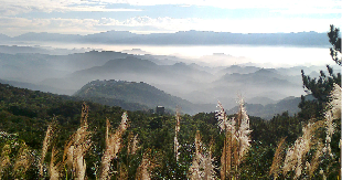 風情萬種的老爺山莊