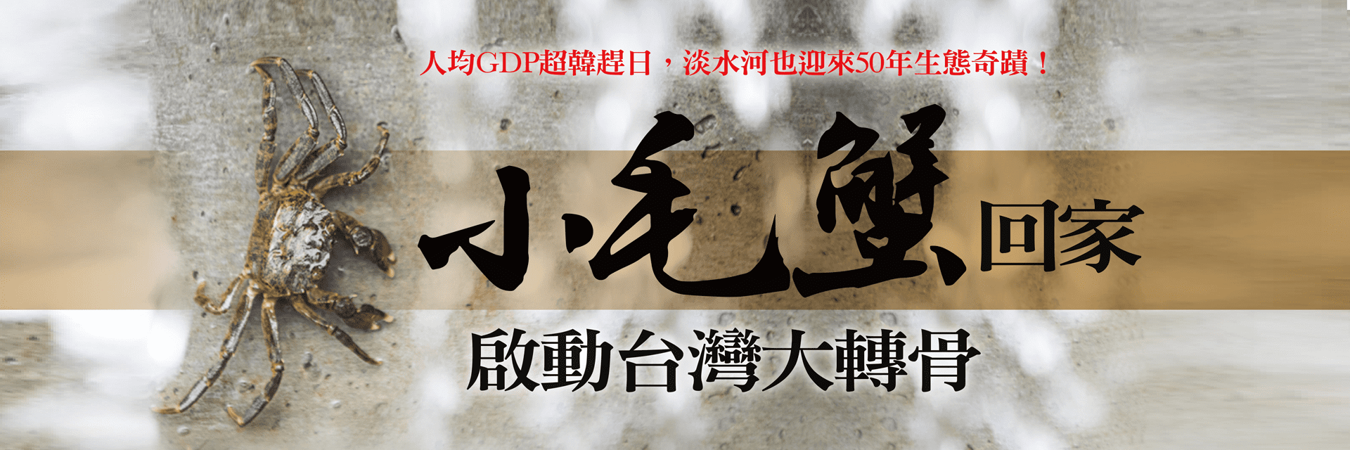 台灣大轉骨-與永續者同行